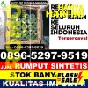 Toko Rumput Imitasi Cikakak.jpg