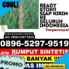 Supplier Rumput Plastik Kesambi.jpg