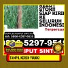 Supplier Rumput Plastik Kota Sabang.jpg