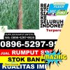 Toko Rumput Sintetis Kesesi.jpg