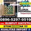 Toko Rumput Imitasi Delima.jpg