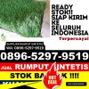 Toko Rumput Imitasi Donorojo.jpg