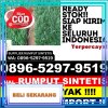 Toko Rumput Sintetis Kota Baubau.jpg