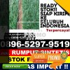 Supplier Rumput Plastik Kunduran.jpg