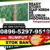 Toko Rumput Sintetis Kota Kudus.jpg