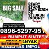 Toko Rumput Imitasi Gumelar.jpg