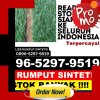 Supplier Rumput Plastik Lembursitu.jpg