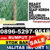 Toko Rumput Sintetis Kuningan.jpg