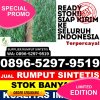 Toko Rumput Sintetis Kwanyar.jpg