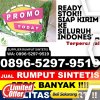 Toko Rumput Imitasi Hilimegai.jpg