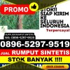 Toko Rumput Sintetis Lemong.jpg