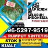 Toko Rumput Imitasi Jatiyoso.jpg