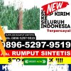 Toko Rumput Sintetis Lingga.jpg