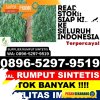 Toko Rumput Sintetis Long Kali.jpg