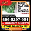 Toko Rumput Imitasi Kabuh.jpg