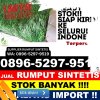 Toko Rumput Imitasi Kabupaten Bekasi.jpg