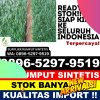 Supplier Rumput Imitasi Nanggalo.jpg