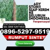 Supplier Rumput Plastik Mataram Baru.jpg