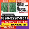 Toko Rumput Sintetis Majalengka.jpg