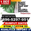 Toko Rumput Imitasi Kabupaten Gunung Kidul.jpg