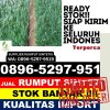 Supplier Rumput Plastik Medang Kampai.jpg