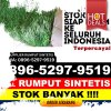 Toko Rumput Imitasi Kabupaten Kepulauan Seribu.jpg