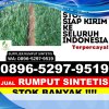 Toko Rumput Sintetis Maniis.jpg