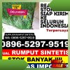 Toko Rumput Imitasi Kabupaten Lombok Utara.jpg