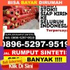 Supplier Rumput Imitasi Padang Cermin.jpg