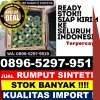 Toko Rumput Plastik Ampenan.jpg