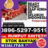 Supplier Rumput Imitasi Paku.jpg