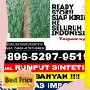 Supplier Rumput Plastik Muara Lakitan.jpg