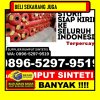 Supplier Rumput Imitasi Pampangan.jpg