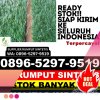 Supplier Rumput Plastik Mungkid.jpg