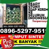 Toko Rumput Plastik Bakongan Timur.jpg