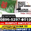 Toko Rumput Imitasi Kalipucang.jpg