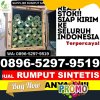 Toko Rumput Plastik Banda Mulia.jpg