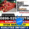 Supplier Rumput Plastik Obi Timur.jpg