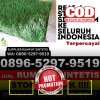 Toko Rumput Imitasi Karangbahagia.jpg