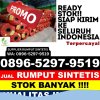 Supplier Rumput Imitasi Pasirian.jpg