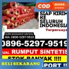 Supplier Rumput Plastik Padang Sago.jpg