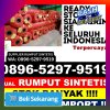 Supplier Rumput Plastik Pagerageung.jpg