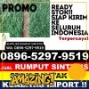 Toko Rumput Sintetis Negara Batin.jpg