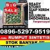 Toko Rumput Plastik Barebbo.jpg