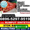 Toko Rumput Sintetis Ngombol.jpg