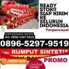 Supplier Rumput Plastik Panakkukang.jpg