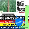 Toko Rumput Imitasi Kembang.jpg