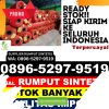 Supplier Rumput Imitasi Plupuh.jpg