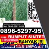 Toko Rumput Imitasi Koroncong.jpg