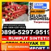 Supplier Rumput Imitasi Pujon.jpg